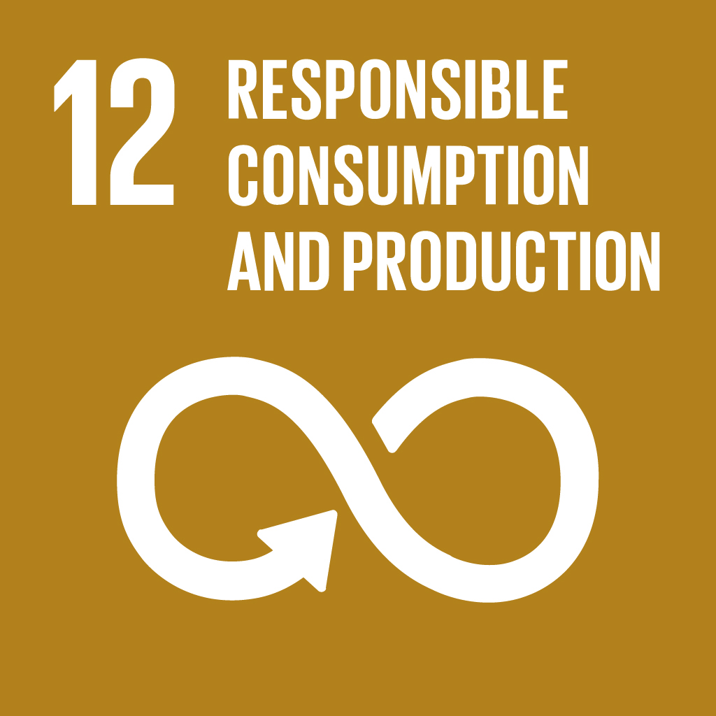 SDG 12 Responsible Consumption and Production