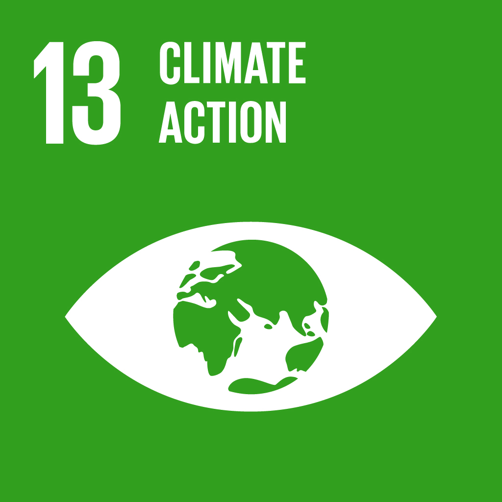 SDG 13 Climate Action