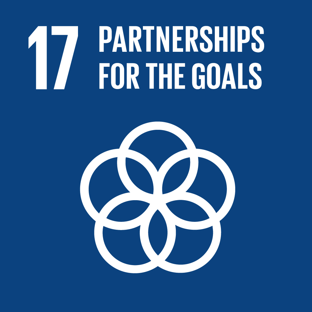 SDG 17 Partnerships for the Goals