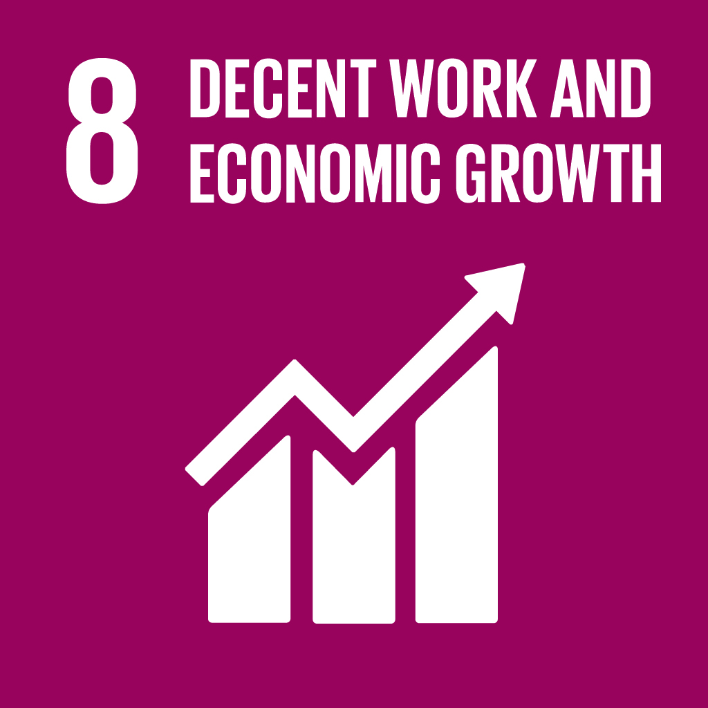 SDG 8 Decent Work and Economic Growth