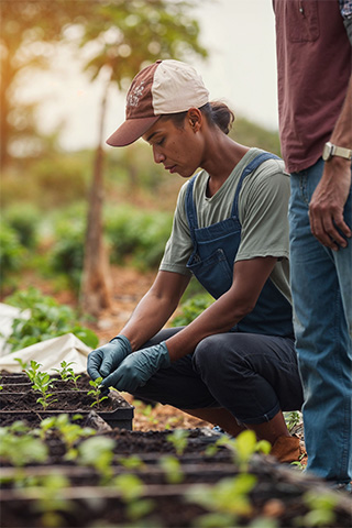 Plantation Workers